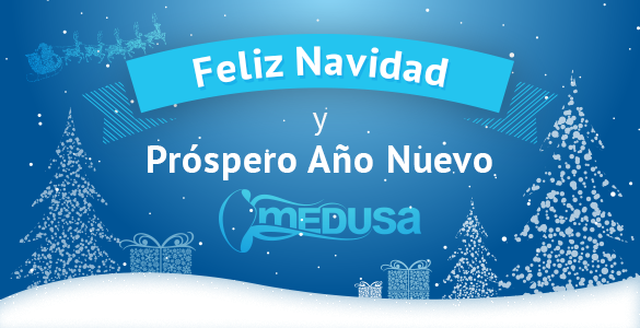 Merry Christmas and a Prosperous New Year!
